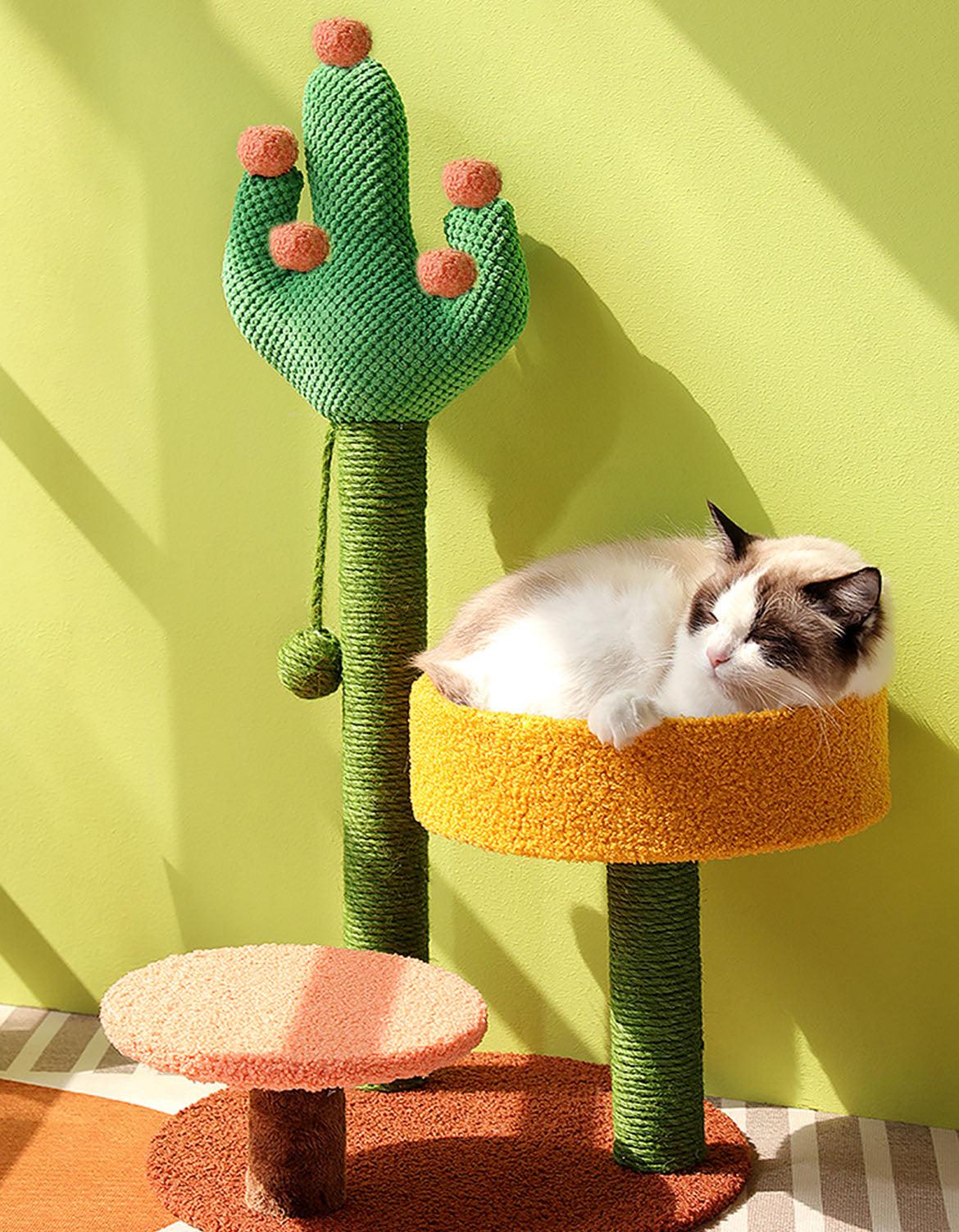 Ola's Cactus with Bed, Cat Toy, Climbing tree | Weilai Concept