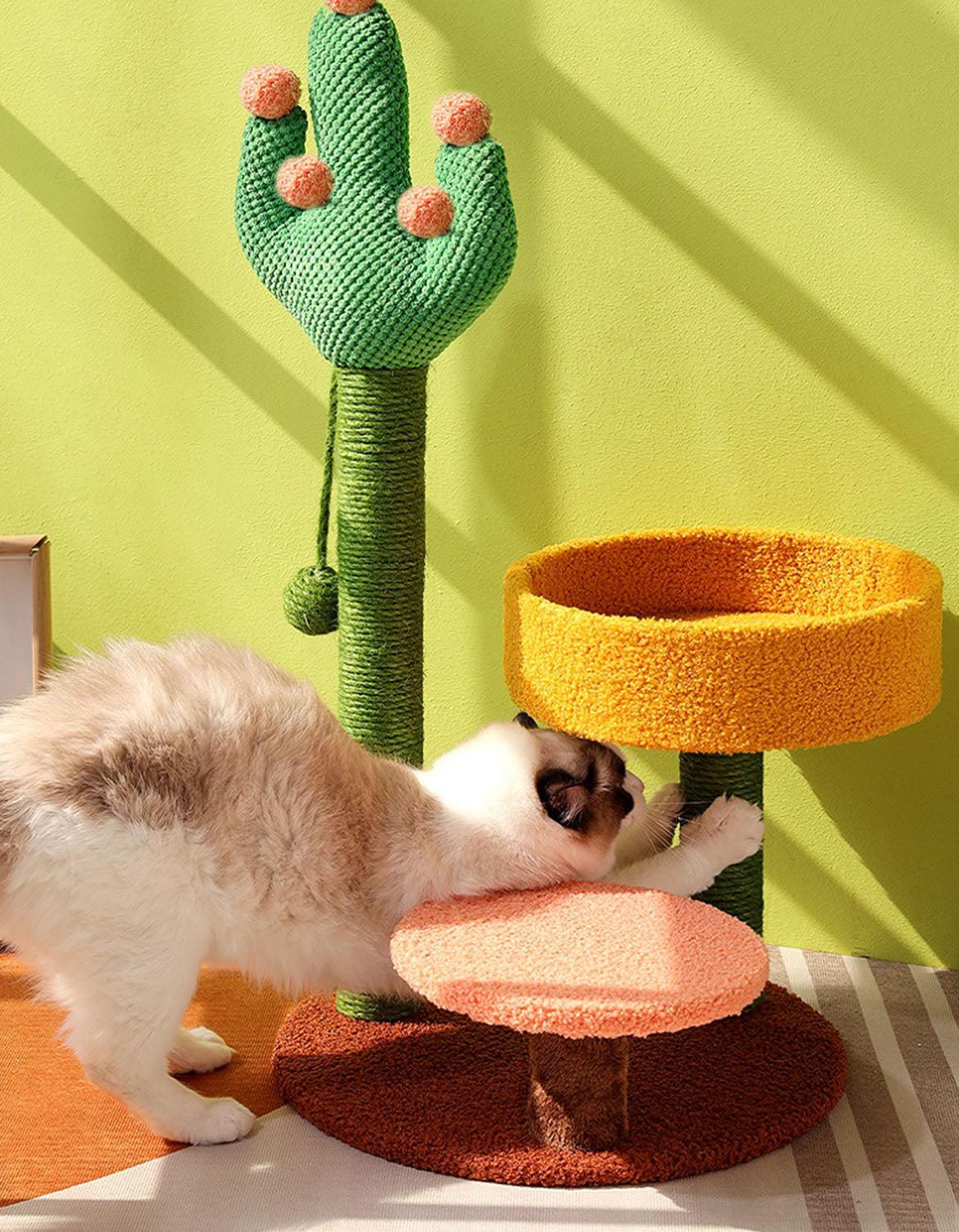 Ola's Cactus with Bed, Cat Toy, Climbing tree | Weilai Concept