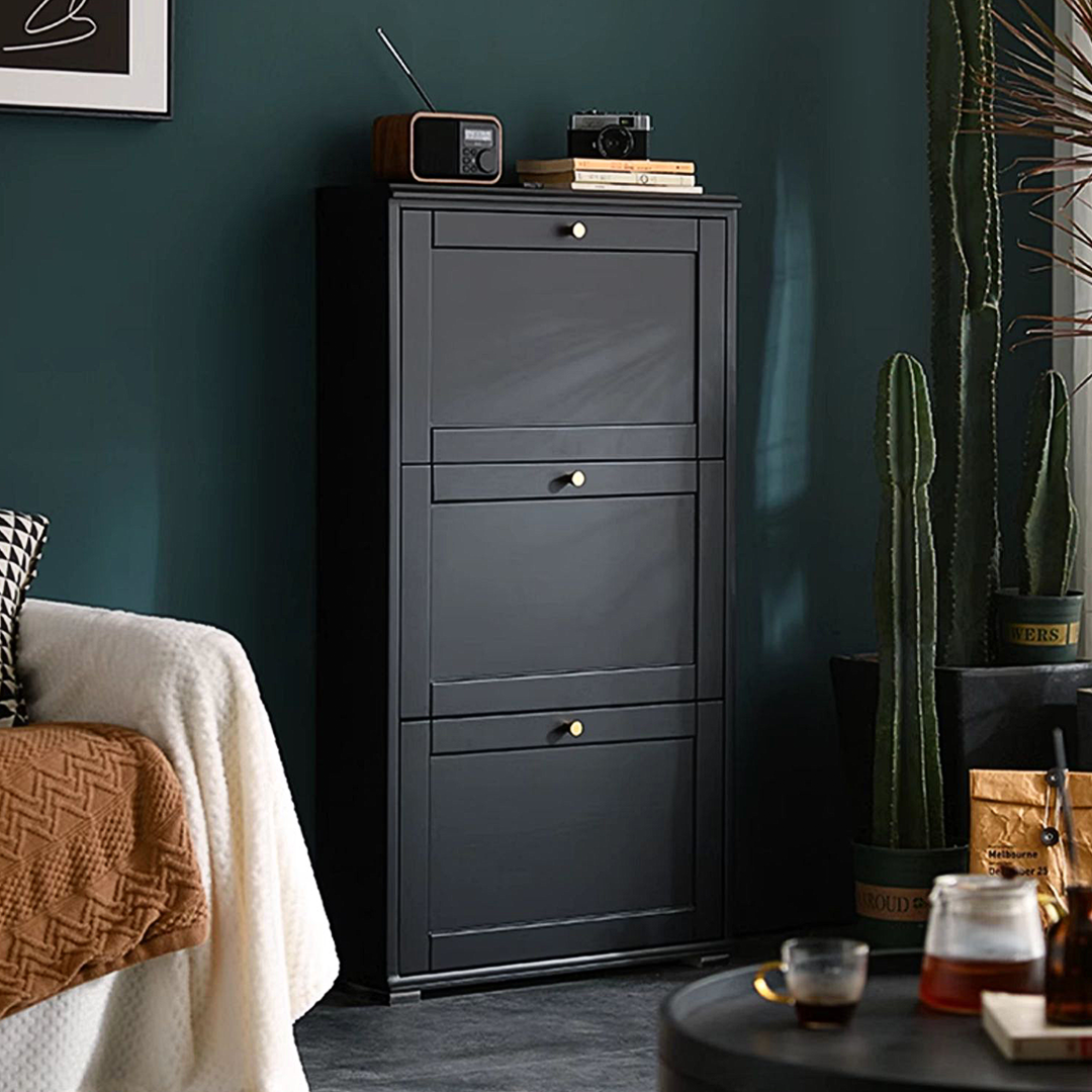 Lyndan Hallway Shoe Storage, Black-Weilai Concept