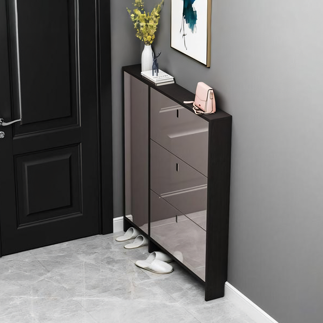 Knauss Mirrored Shoe Storage, Halllway