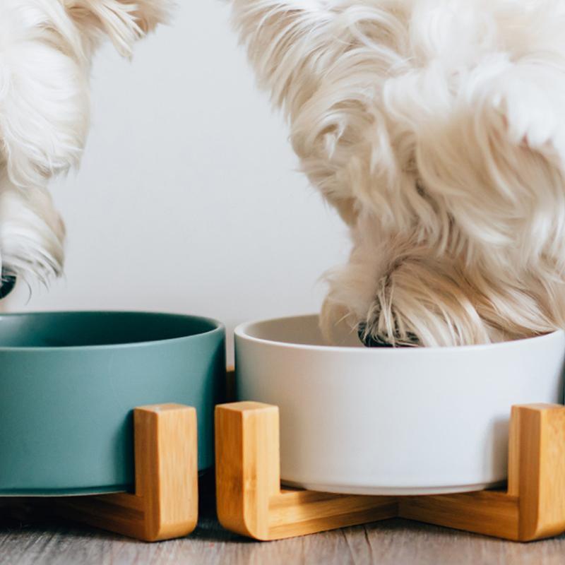 XI15 Pet Food Bowl | Weilai Concept